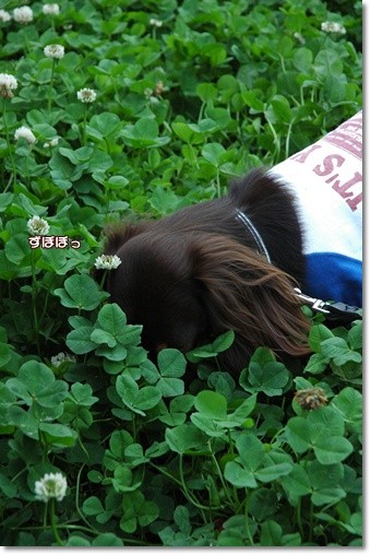 souther_20110602h
