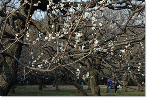 souther_20100203b