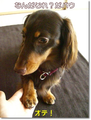 souther_20090730g