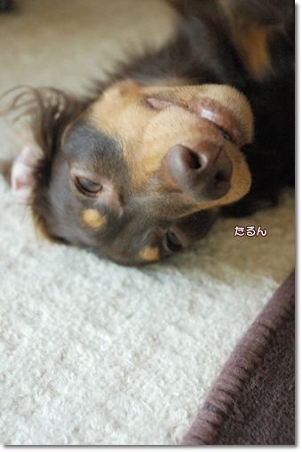 souther_20100925h