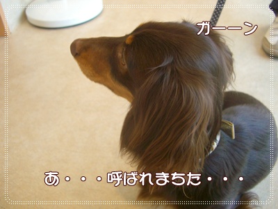 souther_20090413i