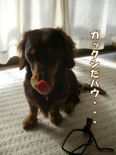 souther_20081205e