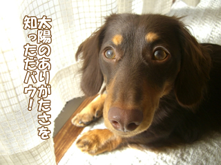 souther_20081125c