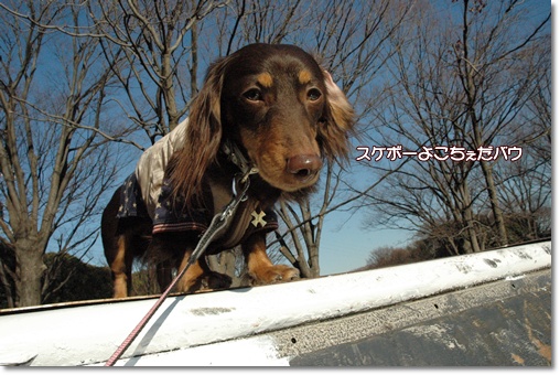 souther_20100111g