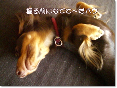 souther_20090730a