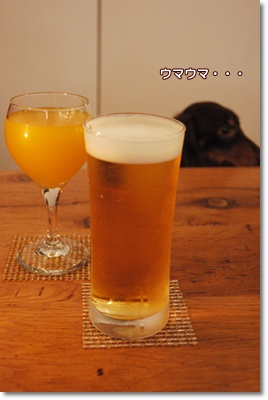 souther_20100715d