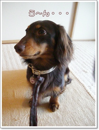 souther_20090527b