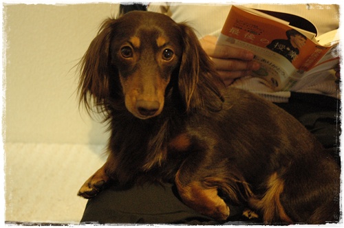 souther_20100204i
