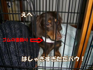 souther_20081205j