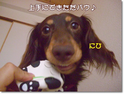 souther_20090809f