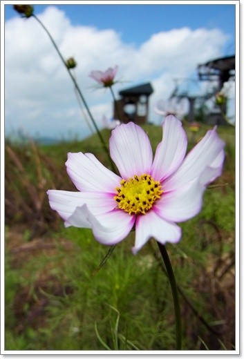 souther_20111003d