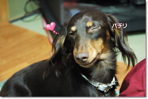 souther_20091126f