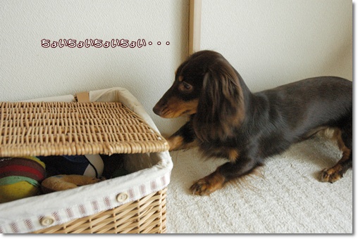 souther_20100721g