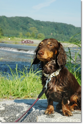 souther_20100730b