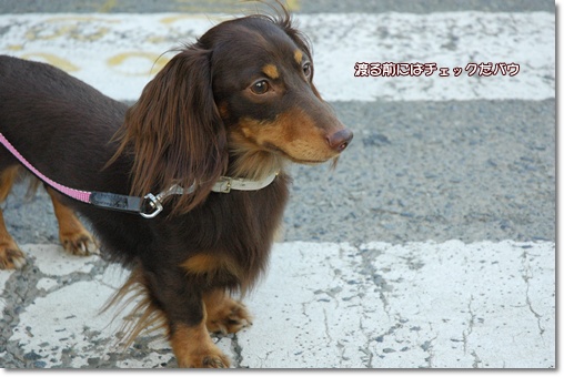 souther_20100725b