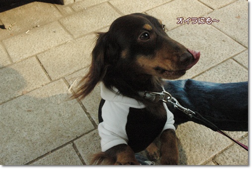 souther_20100202a