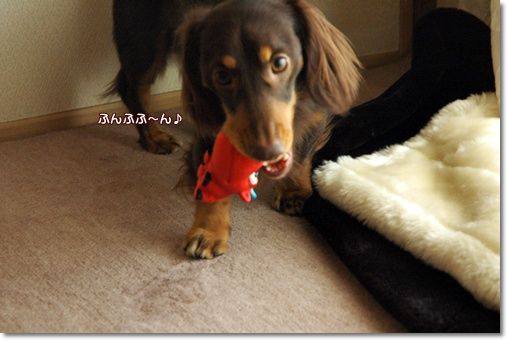 20110126i