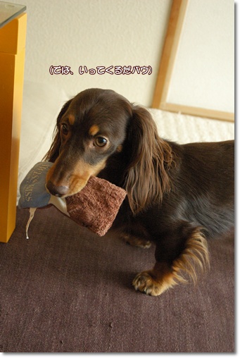 souther_20100820e
