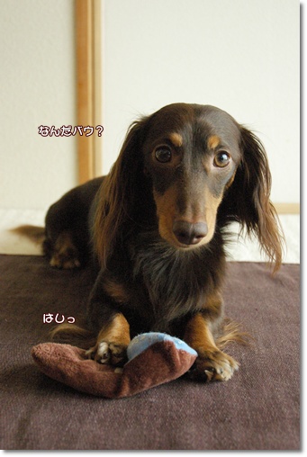 souther_20100820h
