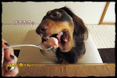 souther_20091223h