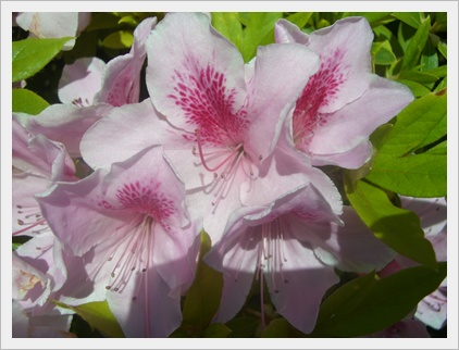 souther_20090429h