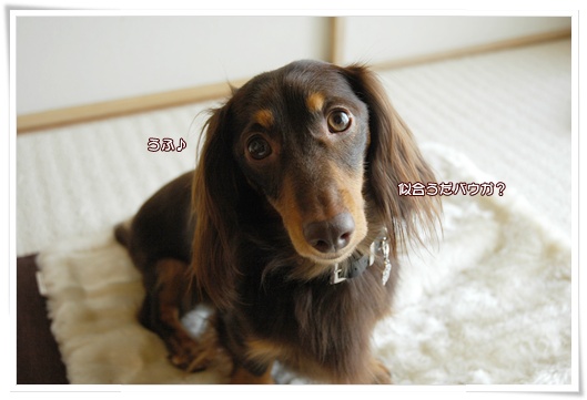 souther_20100720h