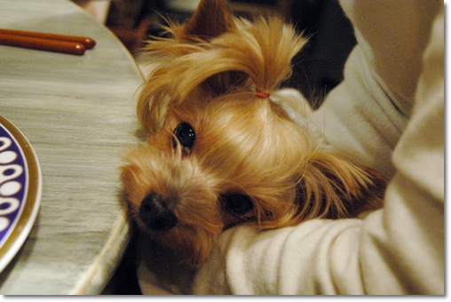 souther_20091230i