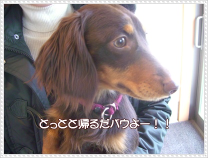 souther_20090330c