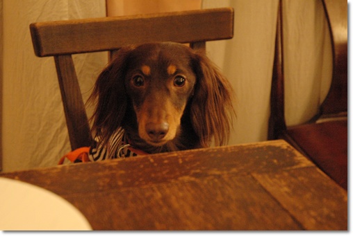 souther_20100301e