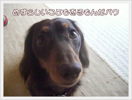 souther_20090429a