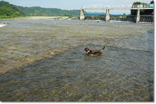souther_20100730i