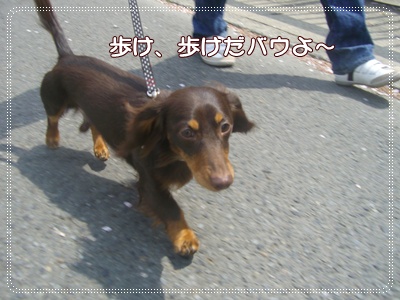 souther_20090413b