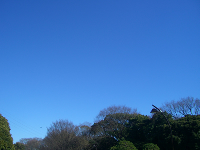 souther_20090126c