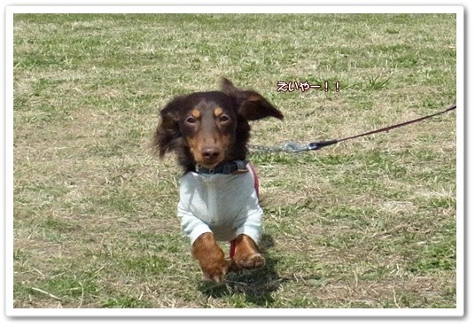 souther_20120503f