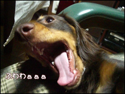souther_20090505c