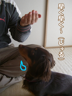 souther_20081204d