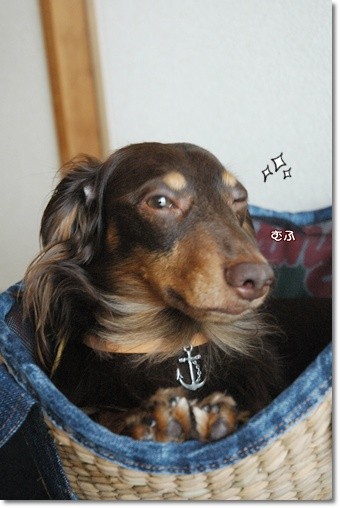 souther_20110622l