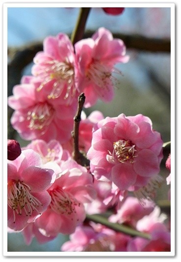 souther_20120402b
