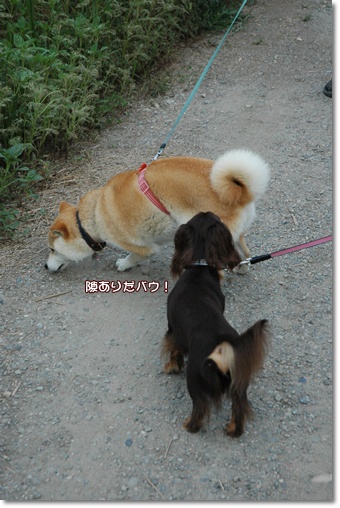 souther_20100818i