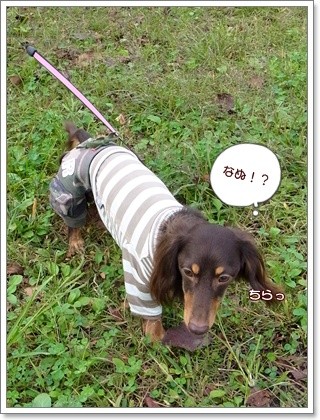 souther_20111120g