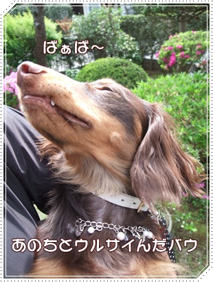 souther_20090427h
