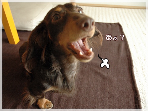 souther_20090928f