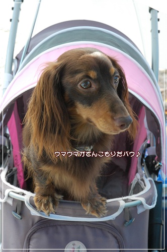 souther_20100726e