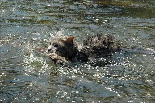souther_20100727e