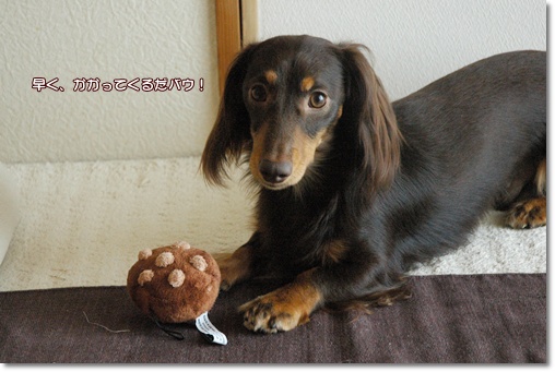 souther_20100723e