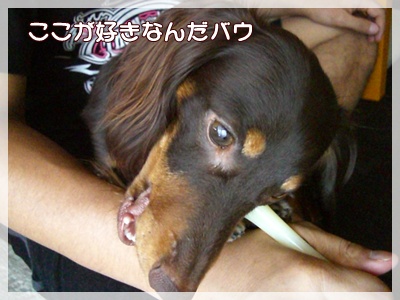 souther_20090726c