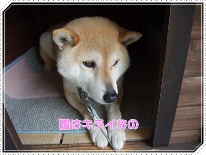 souther_20090427k
