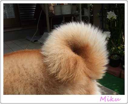 souther_20090427l