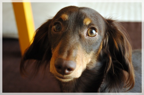 souther_20090928g