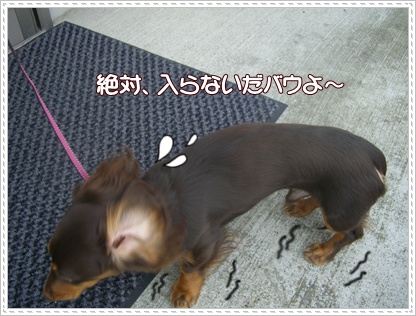 souther_20090330b